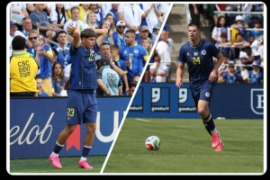 官方:尼达尔·切利克因伤退出世界杯名单,波黑补招马利克配图