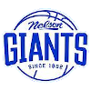 尼尔逊巨人队徽